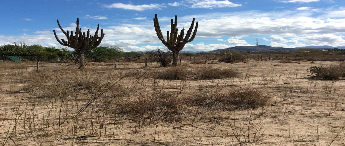 Foto de terreno habitacional en calle sin nombre, entre calle viejitos y calle 2, colonia parque industrial, la paz, b.c.s. , parque industrial, la paz, baja california sur, 19503161 foto 04 Foto de terreno habitacional en venta en calle sin nombre, entre calle viejitos y calle 2, colonia parque industrial, la paz, b.c.s. , parque industrial, la paz, baja california sur, 19503161 No. 04
