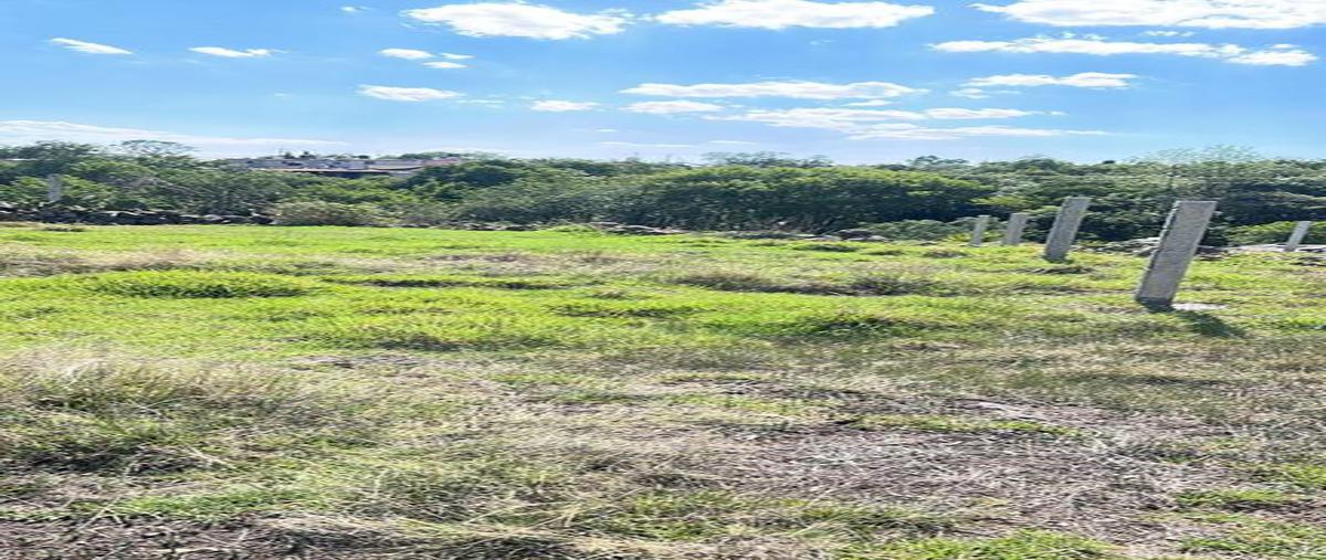Foto de terreno habitacional en calle sin nombre , jilotepec de molina enríquez, jilotepec, méxico, 0 foto 03 Foto de terreno habitacional en venta en calle sin nombre , jilotepec de molina enríquez, jilotepec, méxico, 0 No. 03