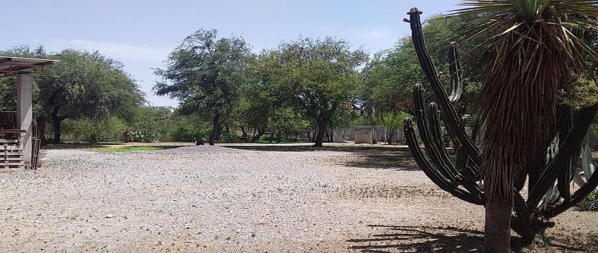 Foto de rancho en calle sin nombre , paseo de los olmos, victoria, tamaulipas, 28174648 foto 03 Foto de rancho en venta en calle sin nombre , paseo de los olmos, victoria, tamaulipas, 28174648 No. 03