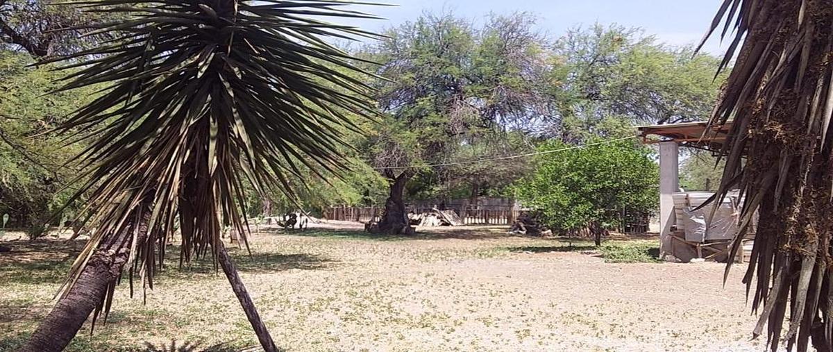 Foto de rancho en calle sin nombre , paseo de los olmos, victoria, tamaulipas, 28174648 foto 04 Foto de rancho en venta en calle sin nombre , paseo de los olmos, victoria, tamaulipas, 28174648 No. 04