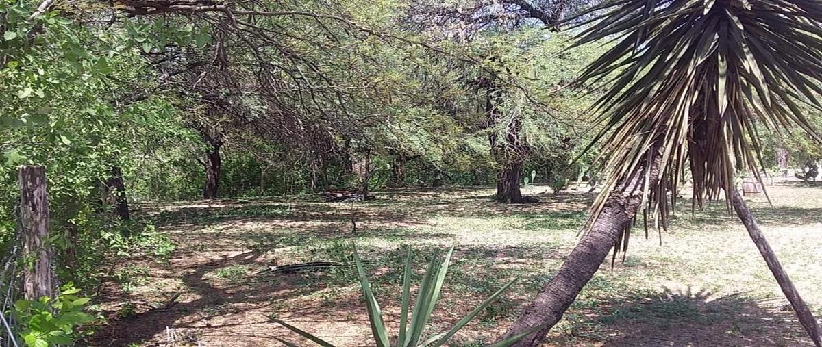 Foto de rancho en calle sin nombre , paseo de los olmos, victoria, tamaulipas, 28174648 foto 05 Foto de rancho en venta en calle sin nombre , paseo de los olmos, victoria, tamaulipas, 28174648 No. 05