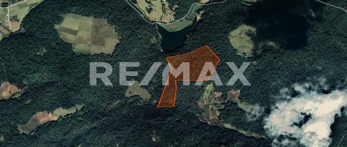 Foto de terreno habitacional en calle sin nombre, pinal del marquesado , pinar de osorios, valle de bravo, méxico, 0 foto 01 Foto de terreno habitacional en venta en calle sin nombre, pinal del marquesado , pinar de osorios, valle de bravo, méxico, 0 No. 01