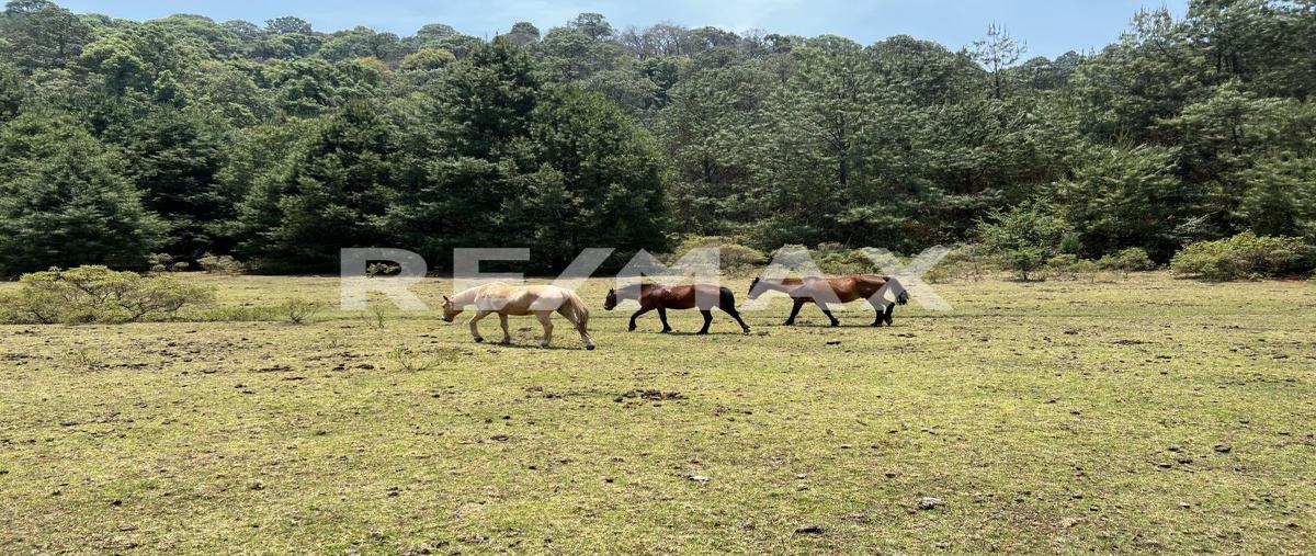 Foto de terreno habitacional en calle sin nombre, pinal del marquesado , valle de bravo, valle de bravo, méxico, 0 foto 01 Foto de terreno habitacional en venta en calle sin nombre, pinal del marquesado , valle de bravo, valle de bravo, méxico, 0 No. 01