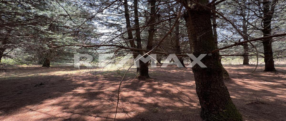 Foto de terreno habitacional en calle sin nombre, pinal del marquesado , valle de bravo, valle de bravo, méxico, 0 foto 05 Foto de terreno habitacional en venta en calle sin nombre, pinal del marquesado , valle de bravo, valle de bravo, méxico, 0 No. 05