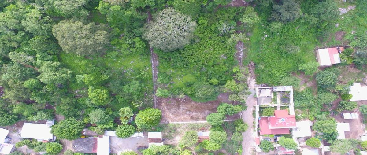 Foto de terreno habitacional en venta en calle sin nombre , villahermosa, ocozocoautla de espinosa, chiapas, 28176366 No. 03