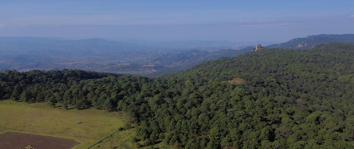 Foto de terreno habitacional en calle sin nombres s/n , pinar de osorios, valle de bravo, méxico, 0 foto 02 Foto de terreno habitacional en venta en calle sin nombres s/n , pinar de osorios, valle de bravo, méxico, 0 No. 02