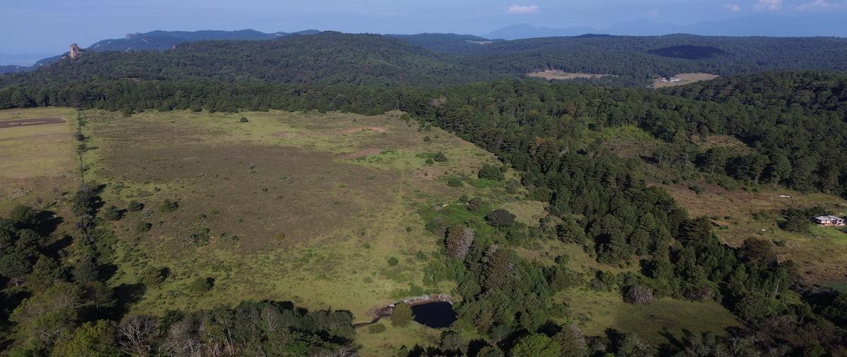Foto de terreno habitacional en calle sin nombres s/n , pinar de osorios, valle de bravo, méxico, 0 foto 04 Foto de terreno habitacional en venta en calle sin nombres s/n , pinar de osorios, valle de bravo, méxico, 0 No. 04