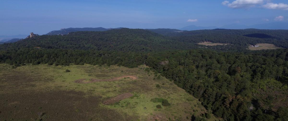 Foto de terreno industrial en venta en calle sin nombres s/n , pinar de osorios, valle de bravo, méxico, 30735676 No. 04