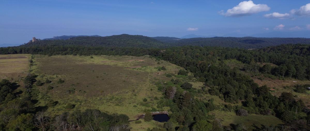 Foto de terreno industrial en venta en calle sin nombres s/n , pinar de osorios, valle de bravo, méxico, 30735676 No. 06
