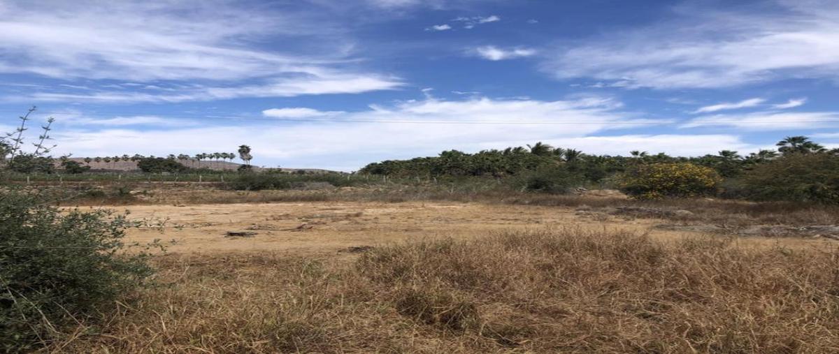 Foto de terreno habitacional en venta en calle sn , el pescadero, la paz, baja california sur, 0 No. 04