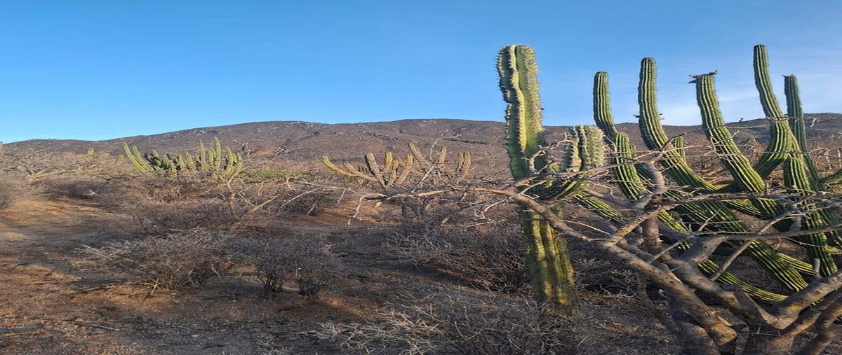 Foto de terreno habitacional en venta en calle s/nombre , san pedro, la paz, baja california sur, 0 No. 03