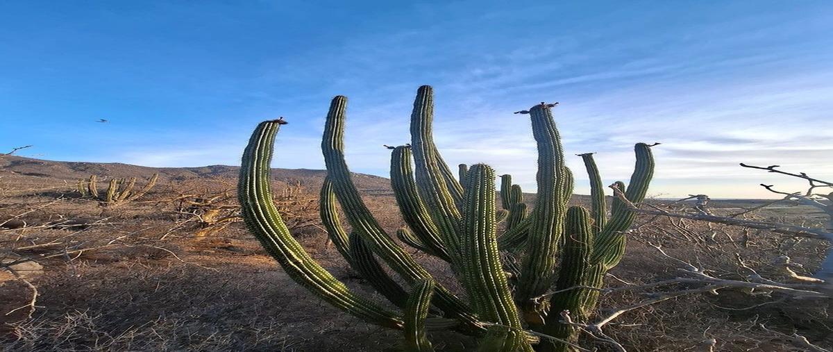 Foto de terreno habitacional en venta en calle s/nombre , san pedro, la paz, baja california sur, 0 No. 04
