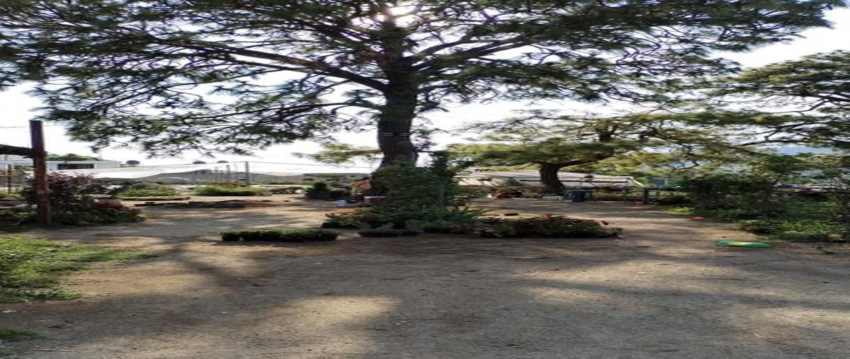 Foto de terreno habitacional en venta en calle tesistán 46, la venta del astillero, zapopan, jalisco, 28402248 No. 03