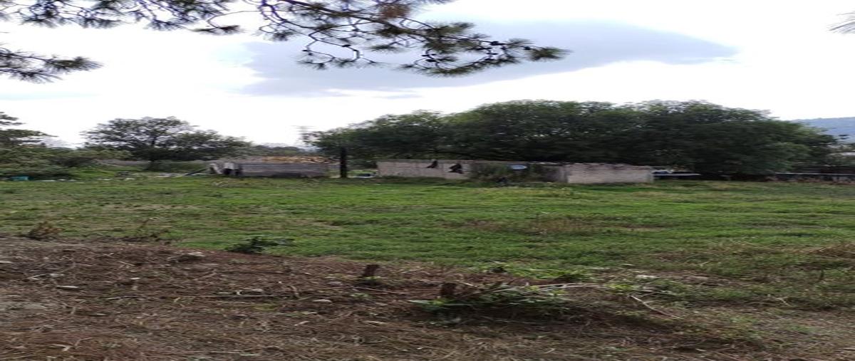 Foto de terreno habitacional en venta en calle tesistán 46, la venta del astillero, zapopan, jalisco, 28402248 No. 04