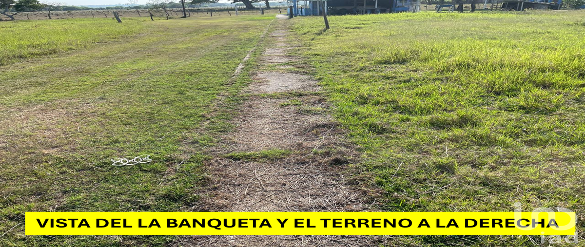 Foto de terreno habitacional en venta en calle tiburÃ³n , el bayo, alvarado, veracruz de ignacio de la llave, 31519420 No. 05