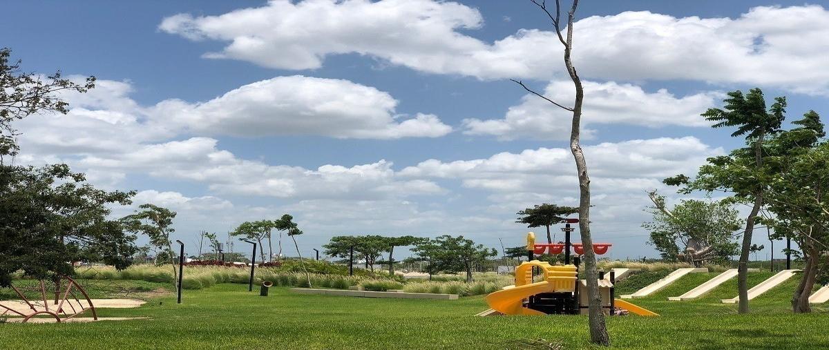 Foto de departamento en renta en calle , vía montejo, mérida, yucatán, 0 No. 03