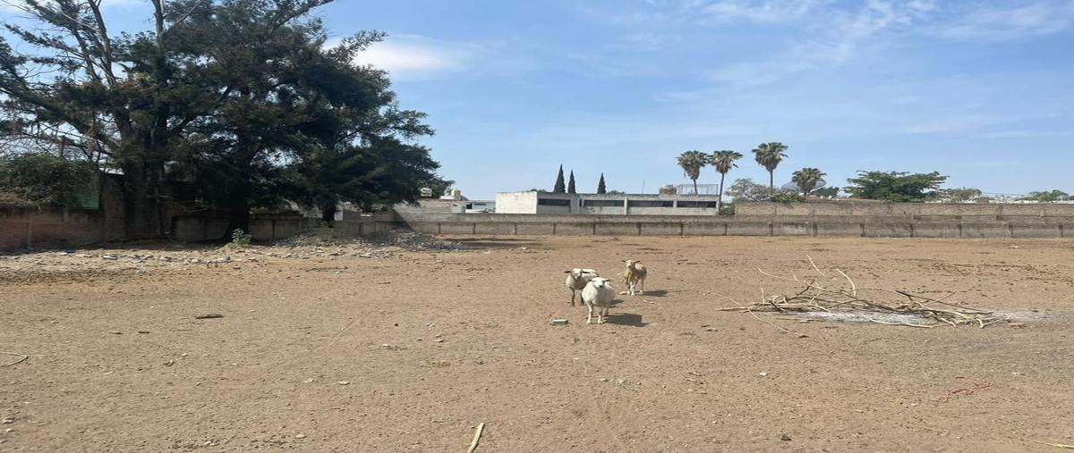 Foto de terreno comercial en venta en calle vicente guerrero 79, agua blanca, zapopan, jalisco, 0 No. 03