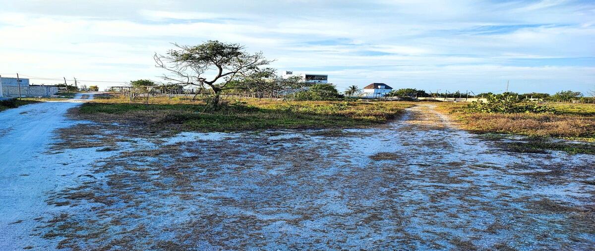Foto de terreno habitacional en venta en calle villa del mar , isla aguada, carmen, campeche, 0 No. 05