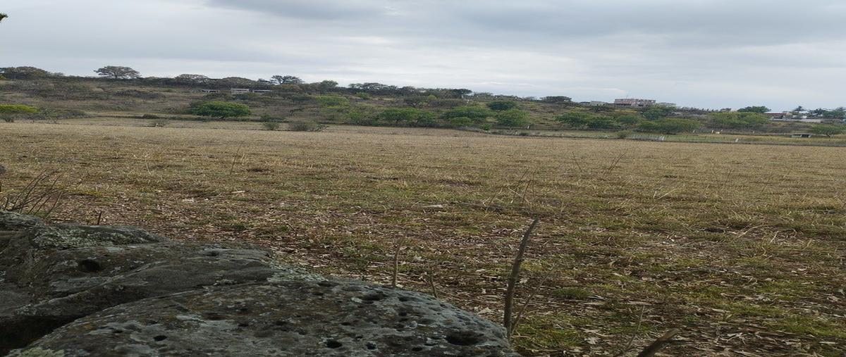 Foto de terreno habitacional en venta en calle , villa morelos, morelos, michoacán de ocampo, 0 No. 04
