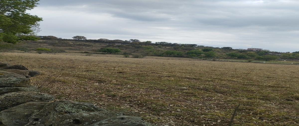 Foto de terreno habitacional en venta en calle , villa morelos, morelos, michoacán de ocampo, 0 No. 05