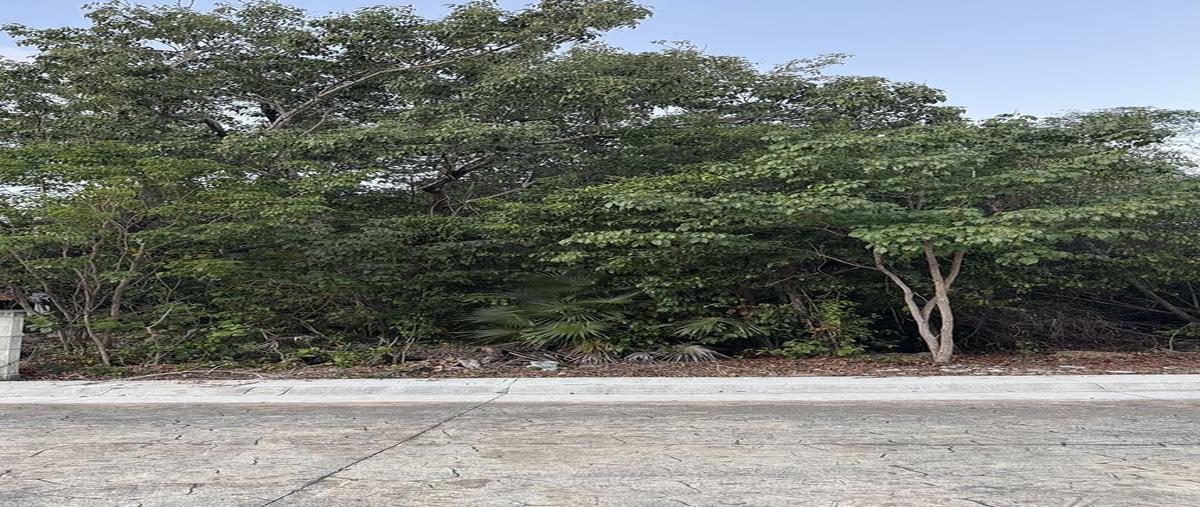 Foto de terreno habitacional en calle vind , puerto morelos, puerto morelos, quintana roo, 0 foto 04 Foto de terreno habitacional en venta en calle vind , puerto morelos, puerto morelos, quintana roo, 0 No. 04