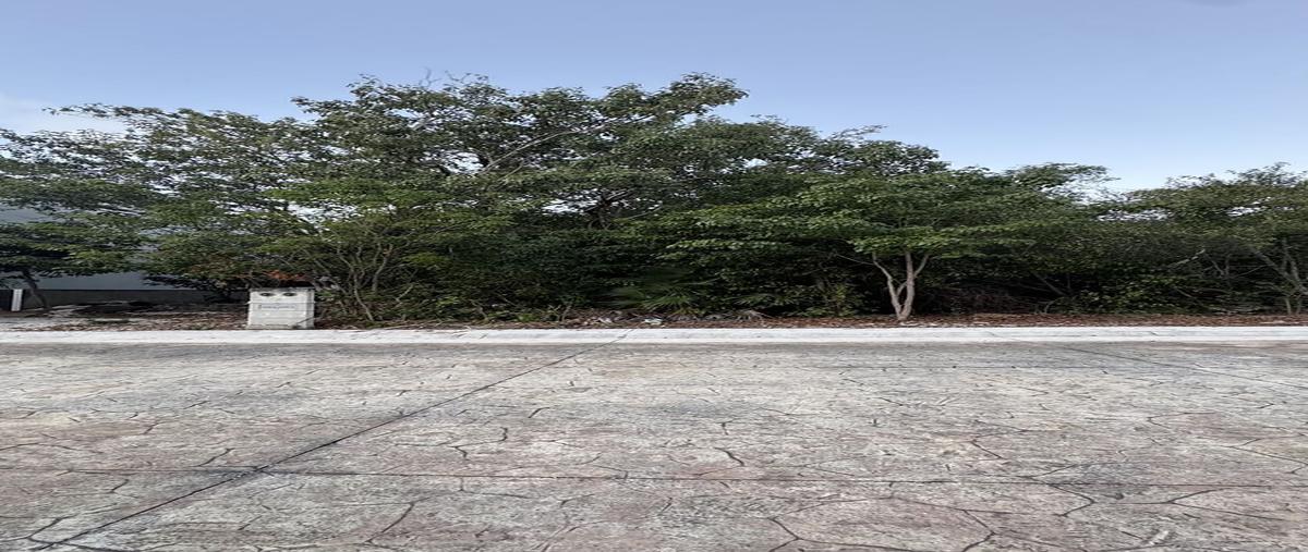 Foto de terreno habitacional en calle vind , puerto morelos, puerto morelos, quintana roo, 0 foto 05 Foto de terreno habitacional en venta en calle vind , puerto morelos, puerto morelos, quintana roo, 0 No. 05