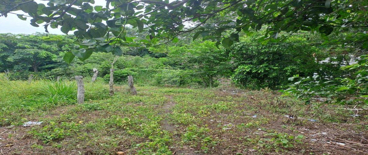 Foto de terreno comercial en venta en calle viveros 1, la aguada, alvarado, veracruz de ignacio de la llave, 30353142 No. 04
