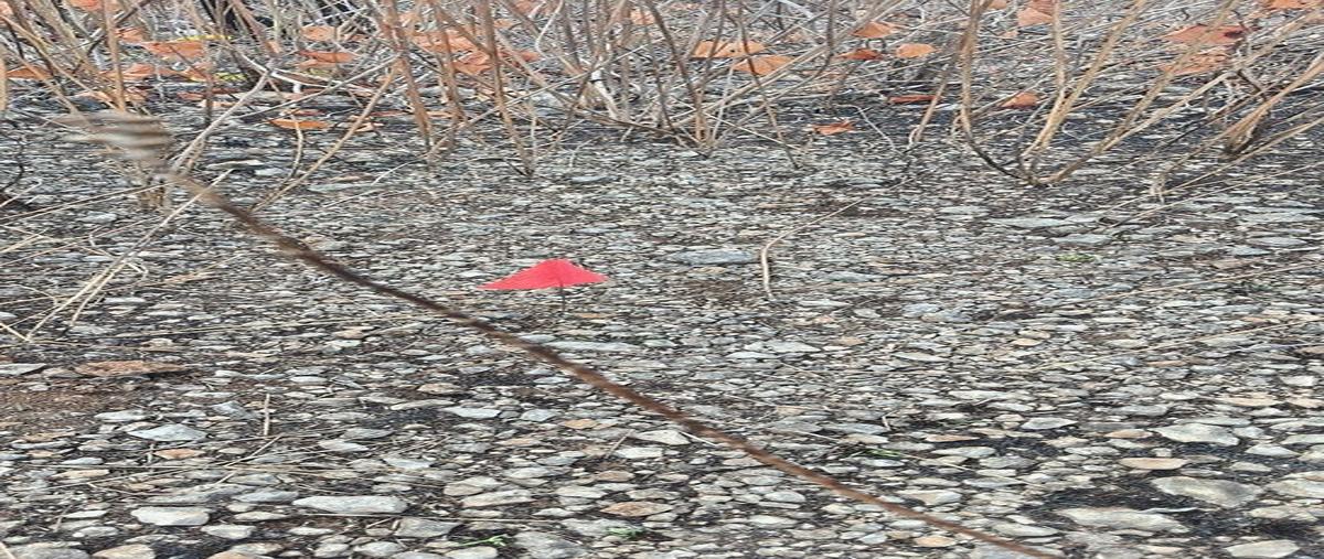 Foto de terreno habitacional en venta en calle yucalpetén , bolon, umán, yucatán, 30915297 No. 05