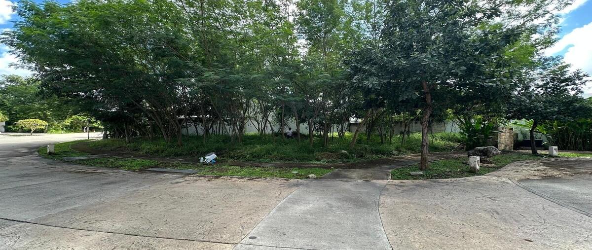 Foto de terreno habitacional en venta en calle zapote , parque natura, mérida, yucatán, 30424074 No. 05