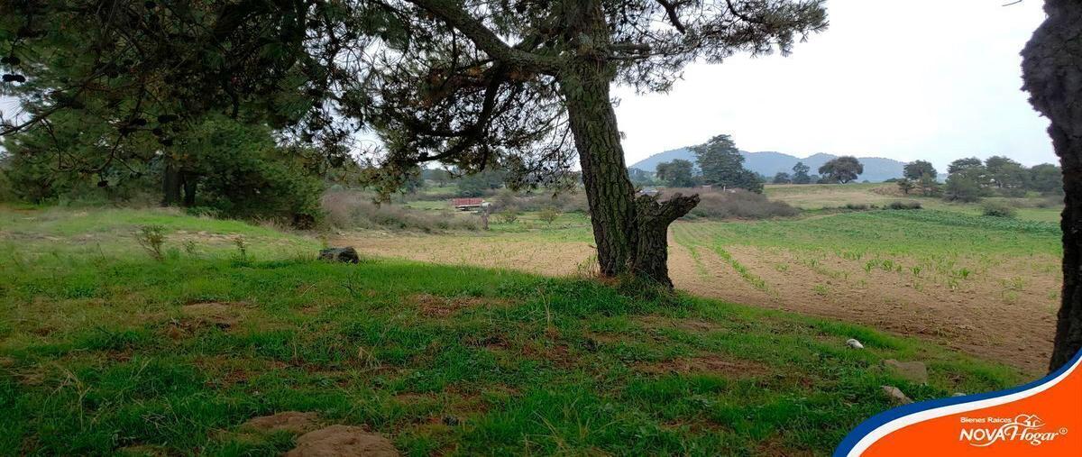 Foto de terreno habitacional en venta en calle zaragoza , san bartolome mihuacán, ayapango, méxico, 30455040 No. 04