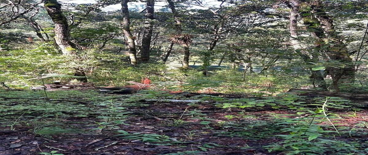 Foto de terreno habitacional en venta en callejon corral de piedra , bosques del sol, san cristóbal de las casas, chiapas, 30607542 No. 03