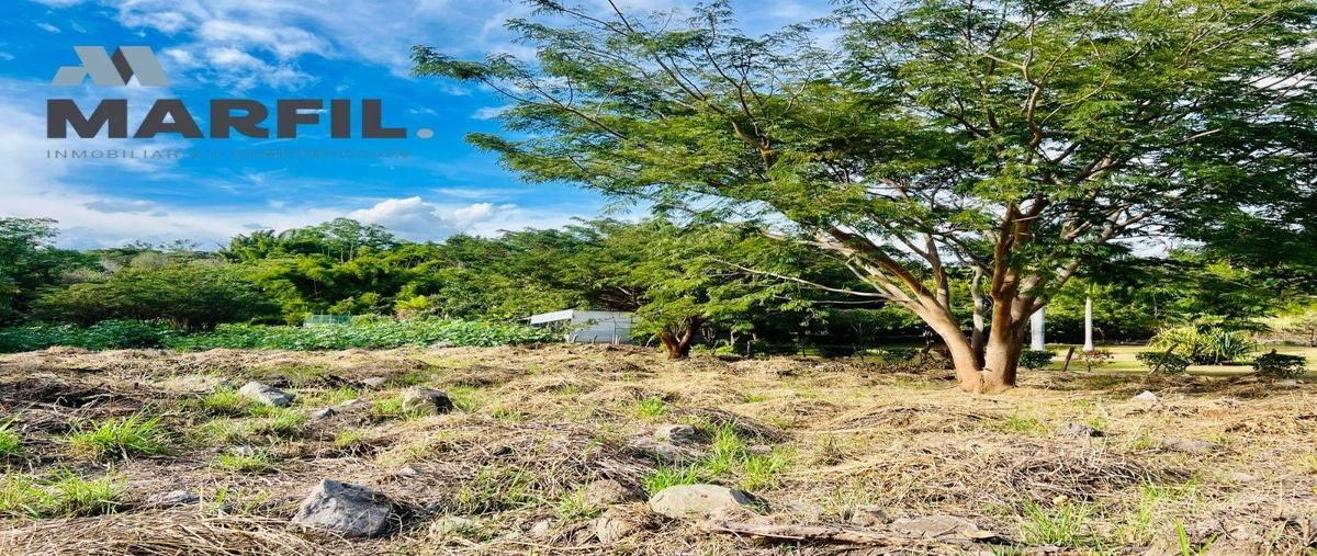 Foto de terreno habitacional en venta en callejón de las huertas , el chivato (providencia), villa de álvarez, colima, 27692592 No. 06