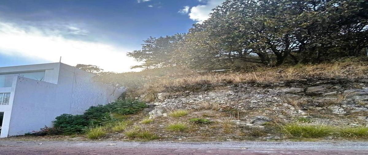 Foto de terreno habitacional en venta en callejón del iris , la villa, zapopan, jalisco, 0 No. 03