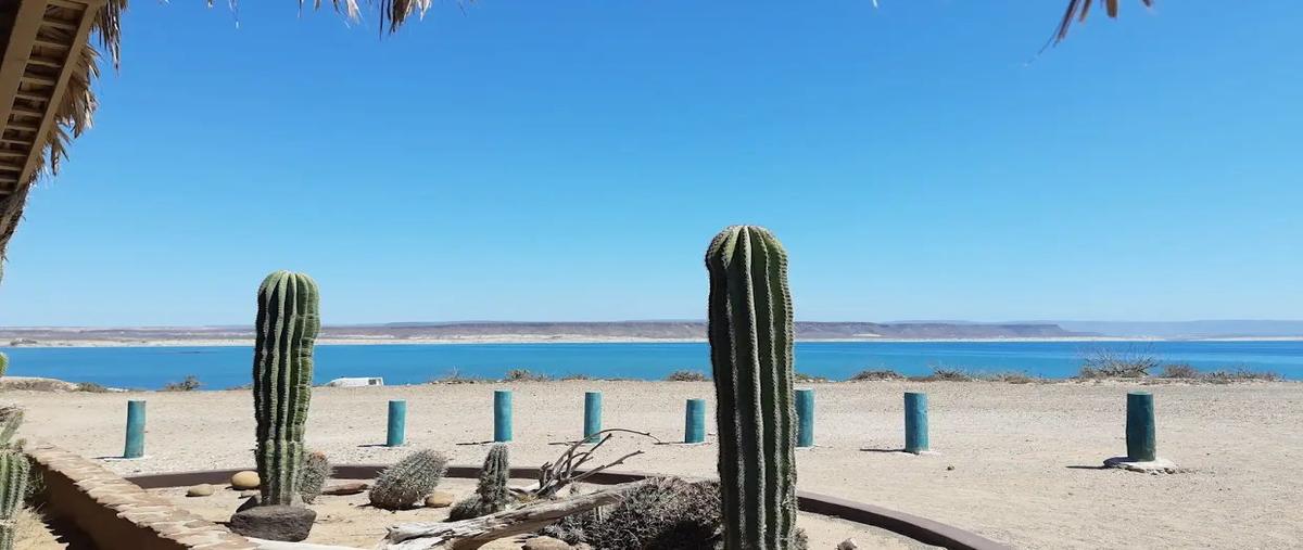 Foto de terreno comercial en venta en callejón del san quintín , el mezquital, comondú, baja california sur, 30466025 No. 05