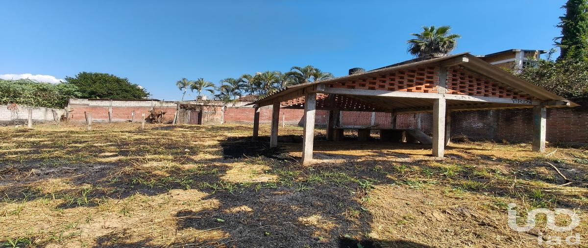 Foto de terreno habitacional en venta en callejón el milagro , itzamatitlán, yautepec, morelos, 30528831 No. 03