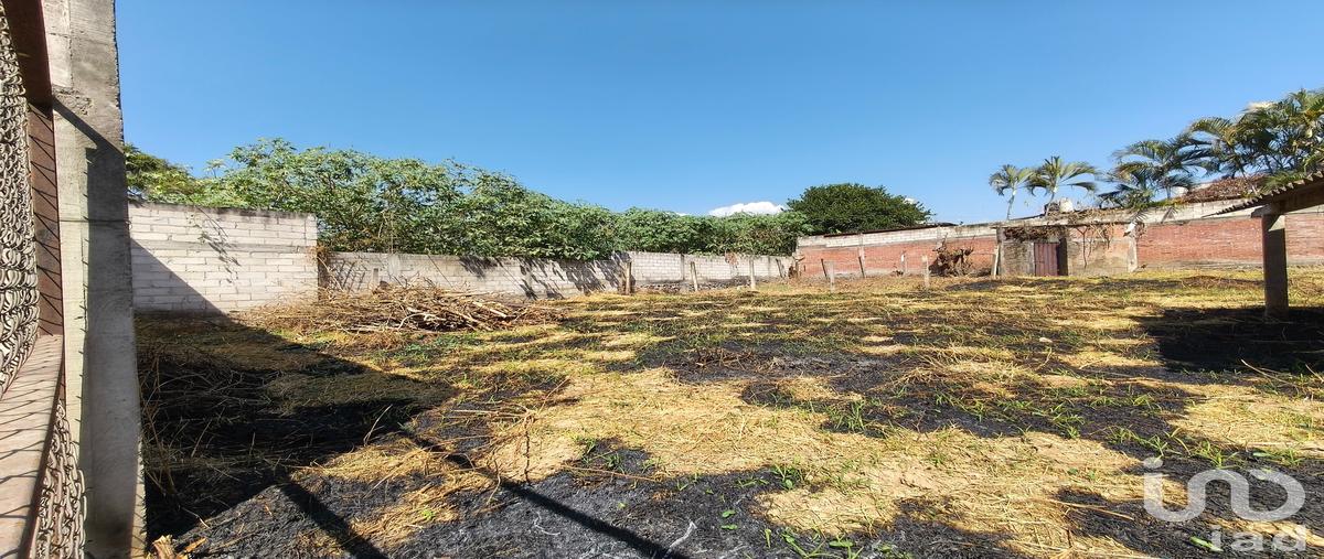Foto de terreno habitacional en venta en callejón el milagro , itzamatitlán, yautepec, morelos, 30528831 No. 04