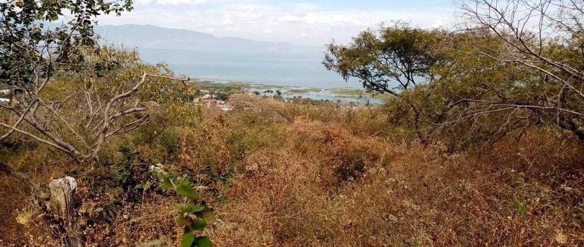Foto de terreno habitacional en venta en callejon , el tepeguaje, tuxcueca, jalisco, 27273619 No. 03