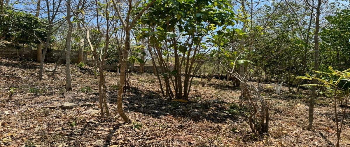 Foto de terreno habitacional en venta en callejón emiliano zapata , emiliano zapata, tuxtla gutiérrez, chiapas, 27868638 No. 03