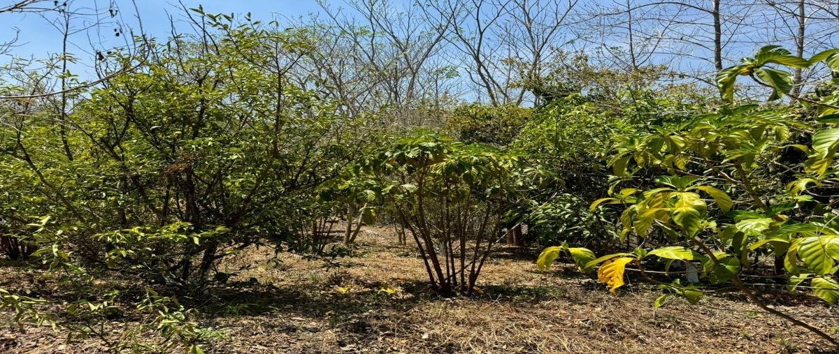 Foto de terreno habitacional en venta en callejón emiliano zapata , emiliano zapata, tuxtla gutiérrez, chiapas, 27868638 No. 05