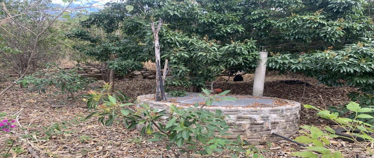 Foto de terreno habitacional en venta en callejón emiliano zapata , emiliano zapata, tuxtla gutiérrez, chiapas, 0 No. 05