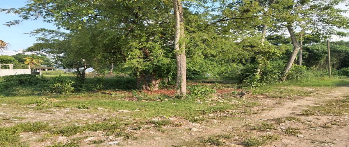 Foto de terreno comercial en venta en callejón gonzalez , boquerón 3a sección (guanal), centro, tabasco, 31586828 No. 03