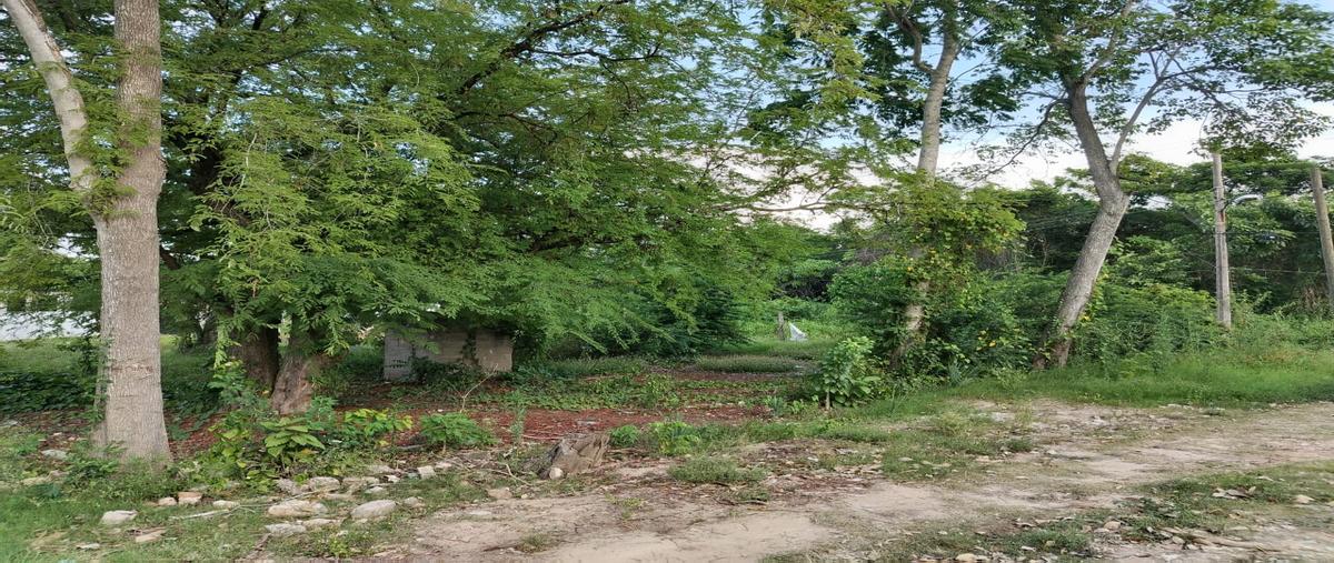 Foto de terreno comercial en venta en callejón gonzalez , boquerón 3a sección (guanal), centro, tabasco, 31586828 No. 05