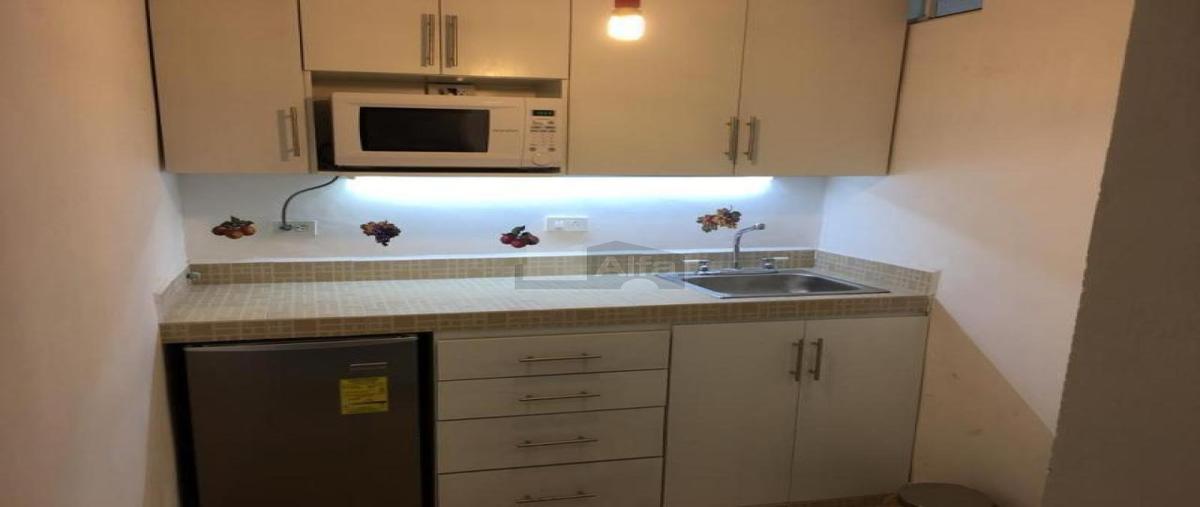 Foto de departamento en renta en callejon josé hernández 103, el cóporo, toluca, méxico, 30278012 No. 04