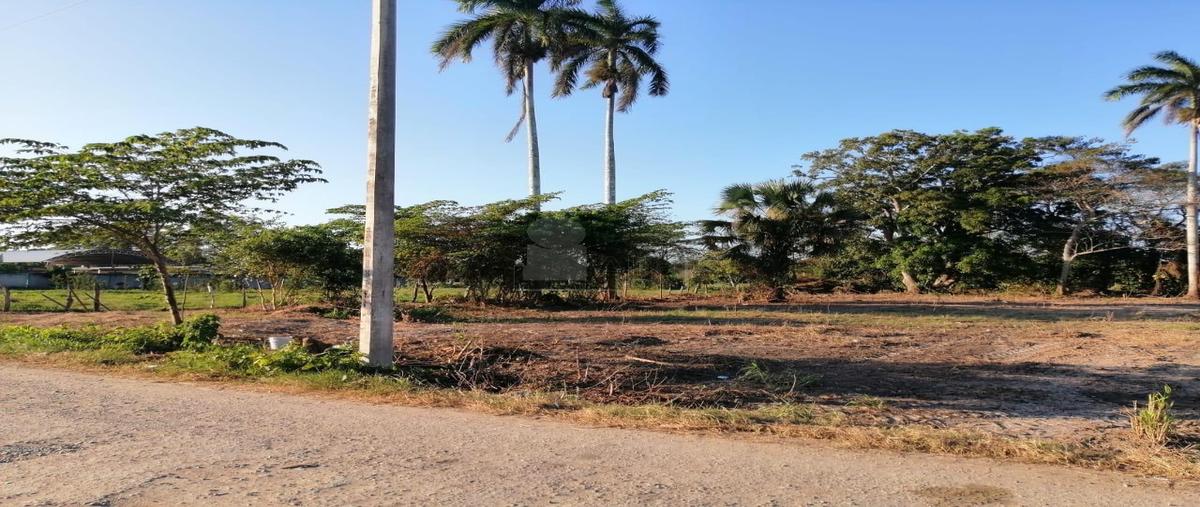 Foto de terreno industrial en venta en callejón los arcos 6, samarcanda, nacajuca, tabasco, 27237154 No. 03