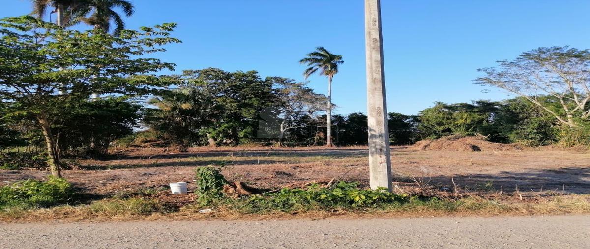 Foto de terreno industrial en venta en callejón los arcos 6, samarcanda, nacajuca, tabasco, 27237154 No. 04