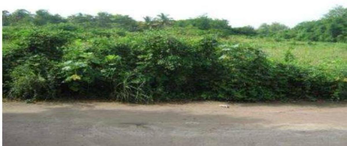 Foto de terreno habitacional en venta en callejón nocoa , villa las flores, puerto vallarta, jalisco, 29231950 No. 04