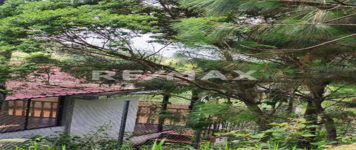 Foto de casa en venta en callejón sin nombre en san felipe , zacualpan de ecatepec, san cristóbal de las casas, chiapas, 30233433 No. 03