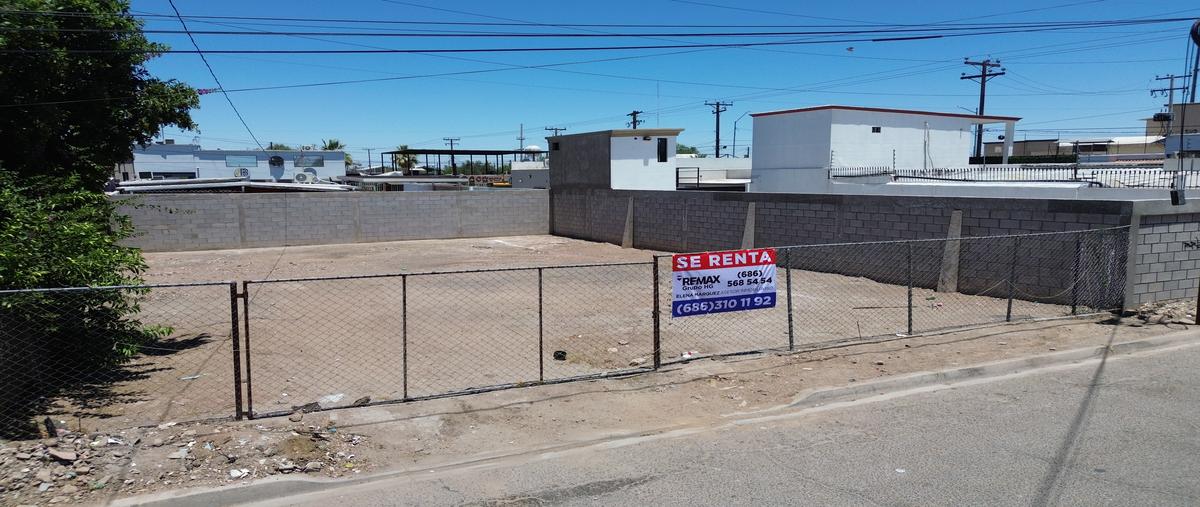 Foto de terreno habitacional en renta en callejon sinaloa , nueva esperanza, mexicali, baja california, 31500381 No. 03
