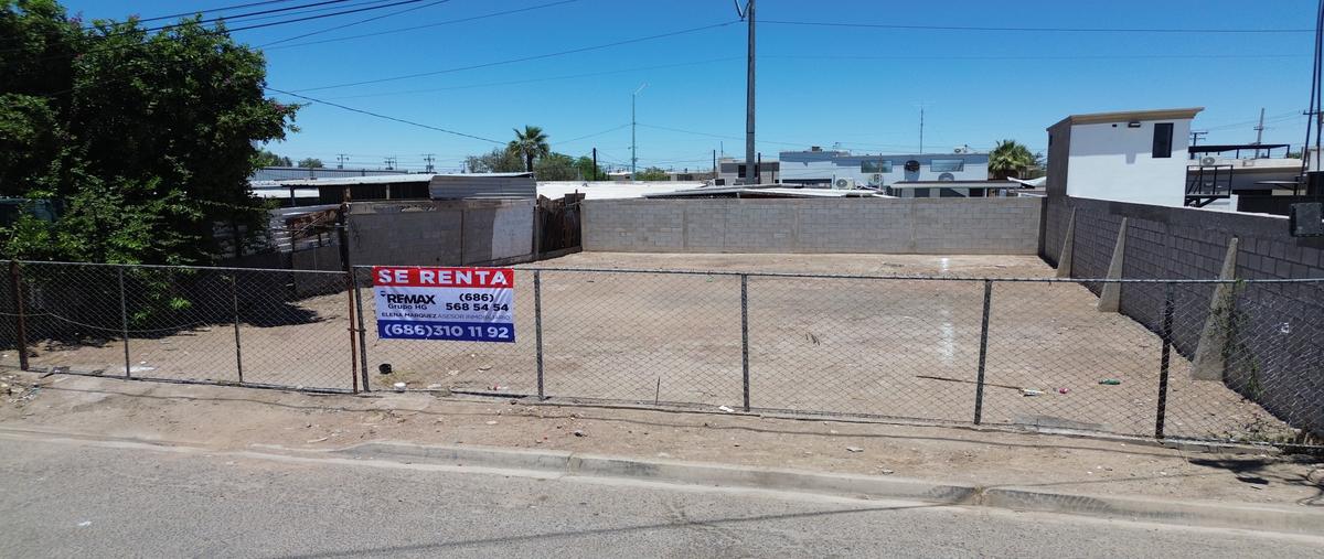 Foto de terreno habitacional en renta en callejon sinaloa , nueva esperanza, mexicali, baja california, 31500381 No. 05