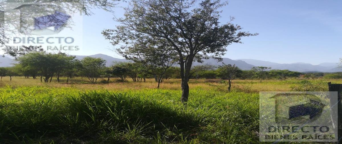 Foto de terreno habitacional en venta en  , calles, montemorelos, nuevo león, 23346940 No. 03